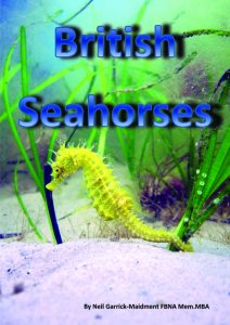 British seahorse front cover