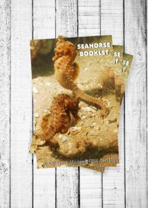 seahorse booklet