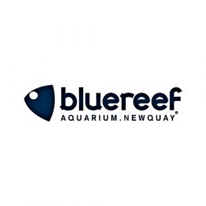 bluereef aquarium logo
