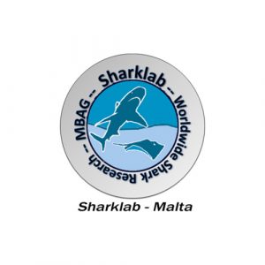 shark lab logo