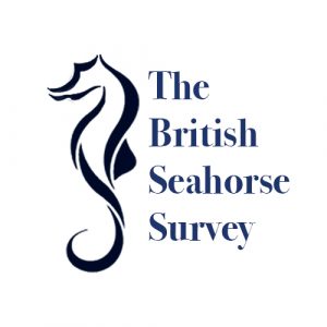 British survey logo